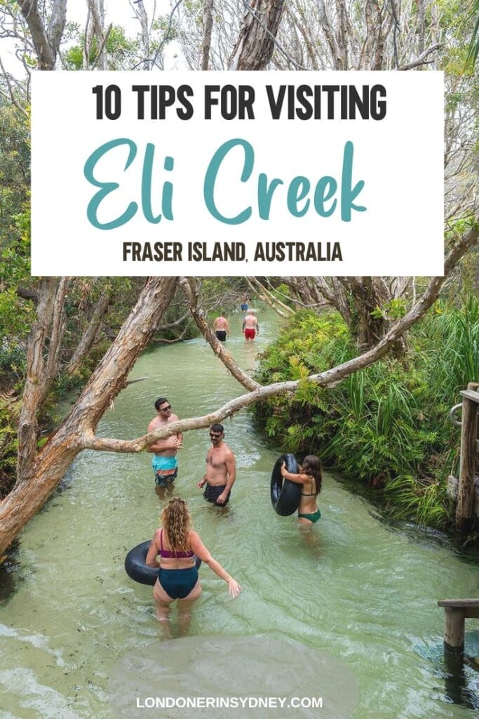 Eli-creek-fraser-island - Londoner In Sydney Eli-creek-fraser-island