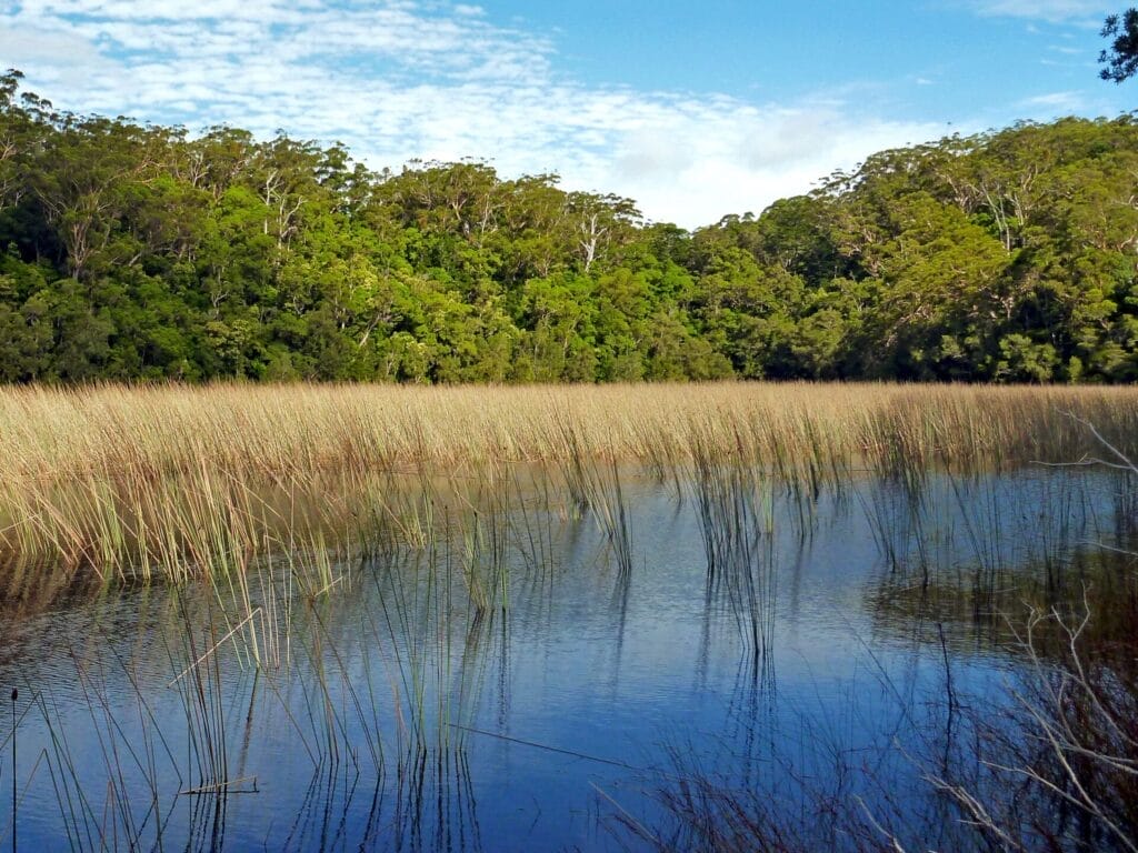 lake-allom-things-to-do-in-fraser-island - Londoner In Sydney lake-allom-things-to-do-in-fraser-island