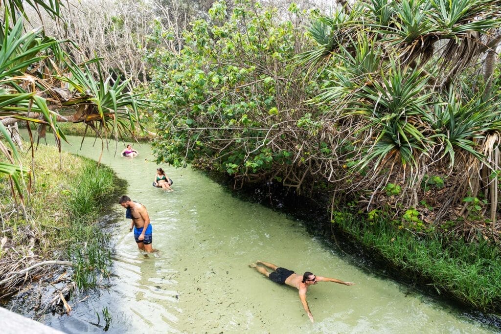 eli-creek-things-to-do-in-fraser-island