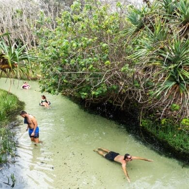 eli-creek-things-to-do-in-fraser-island