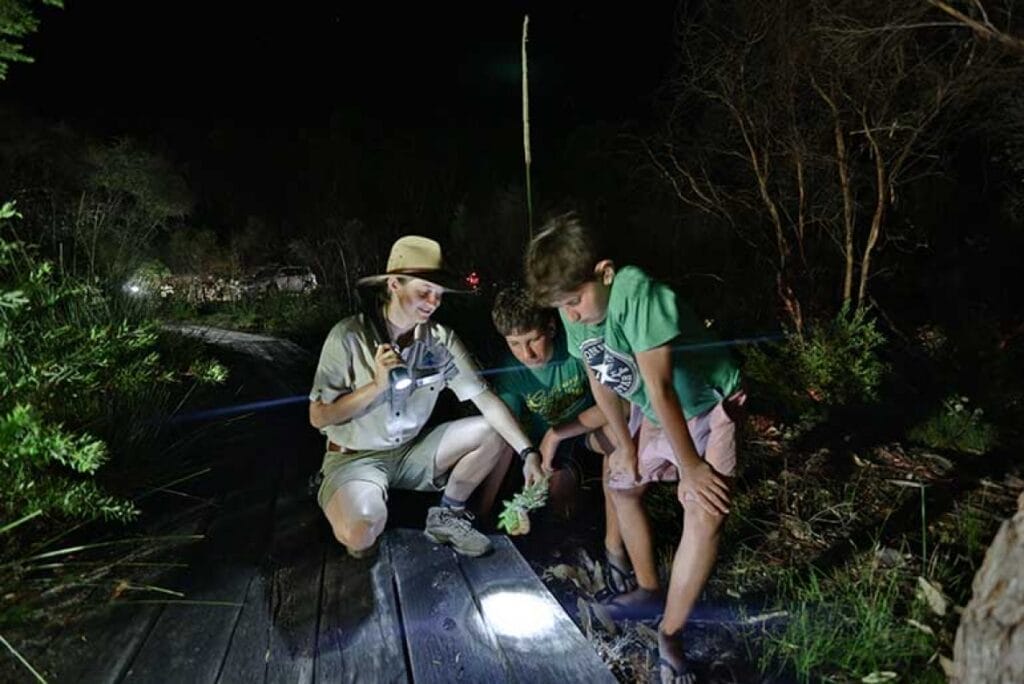 night-walk-kingfisher-bay-things-to-do-in-fraser-island