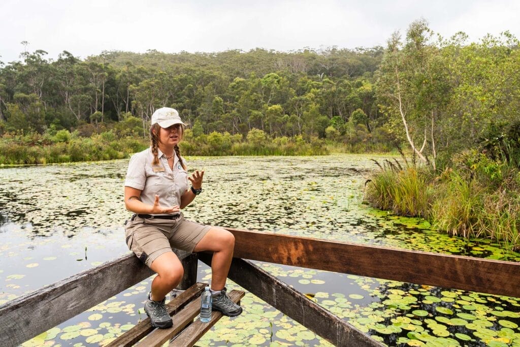 wallam-wetlands-walk-things-to-do-in-fraser-island