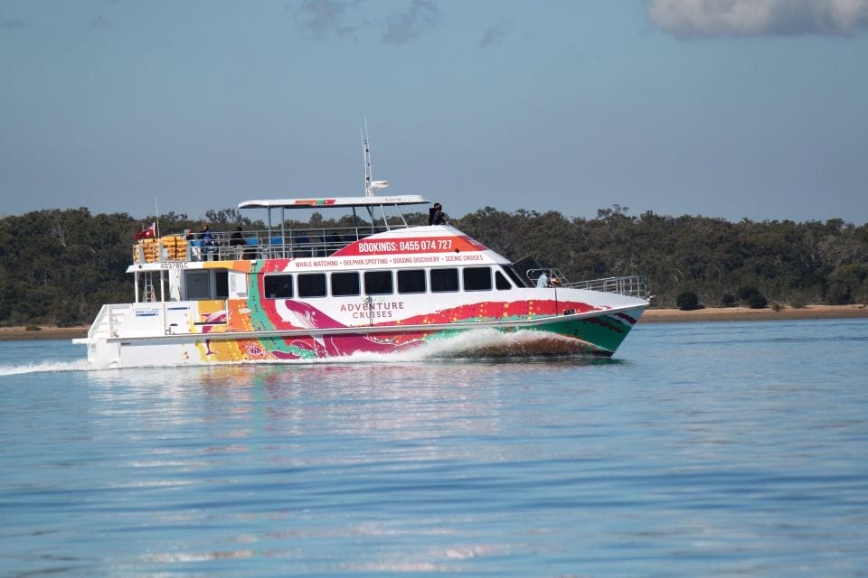 wildlife-cruise-best-day-trips-to-fraser-island