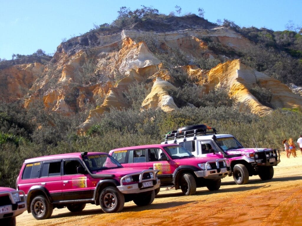 fraser-dingo-tag-along-tour