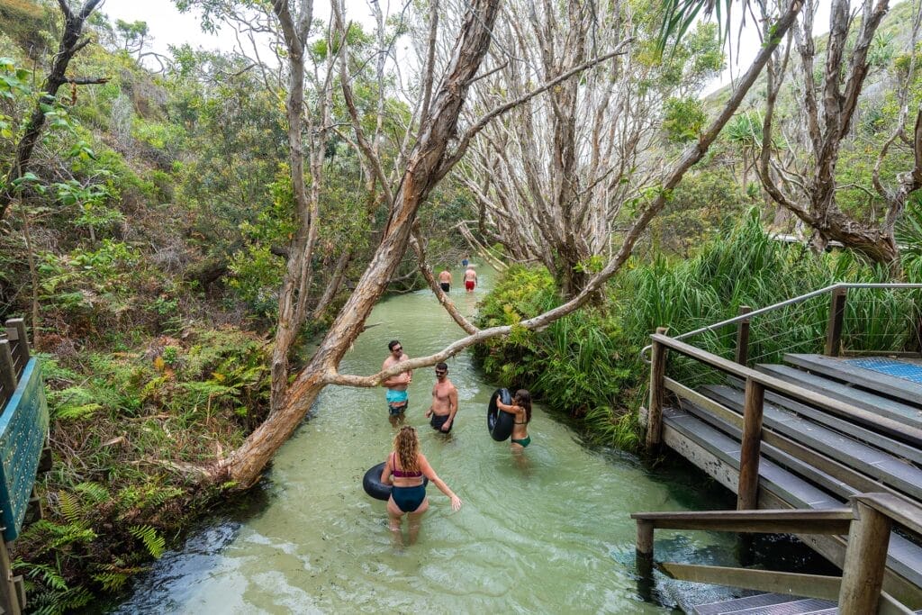 eli-creek-fraser-island