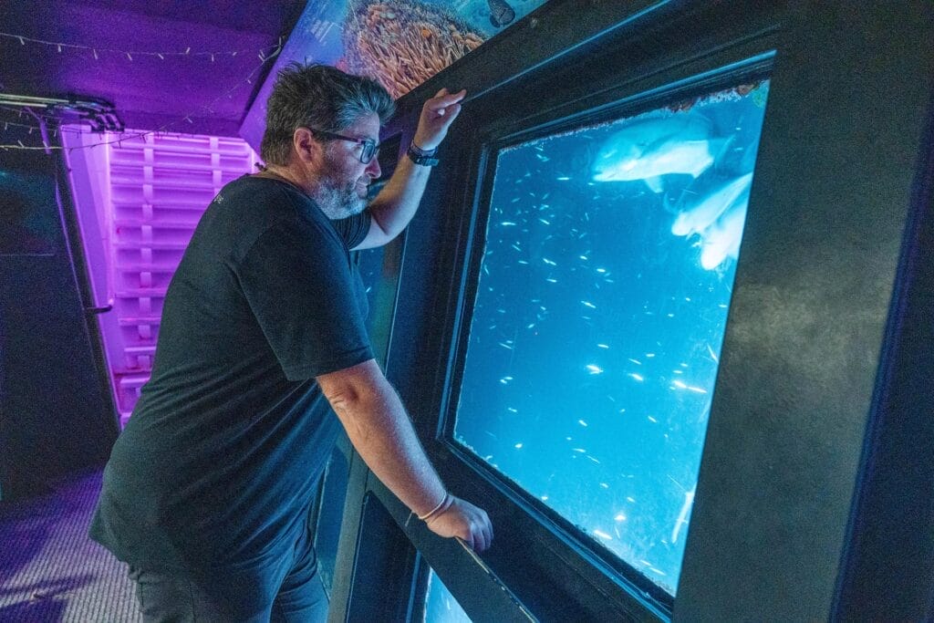 reefsleep-underwater-observatory - Londoner In Sydney reefsleep-underwater-observatory