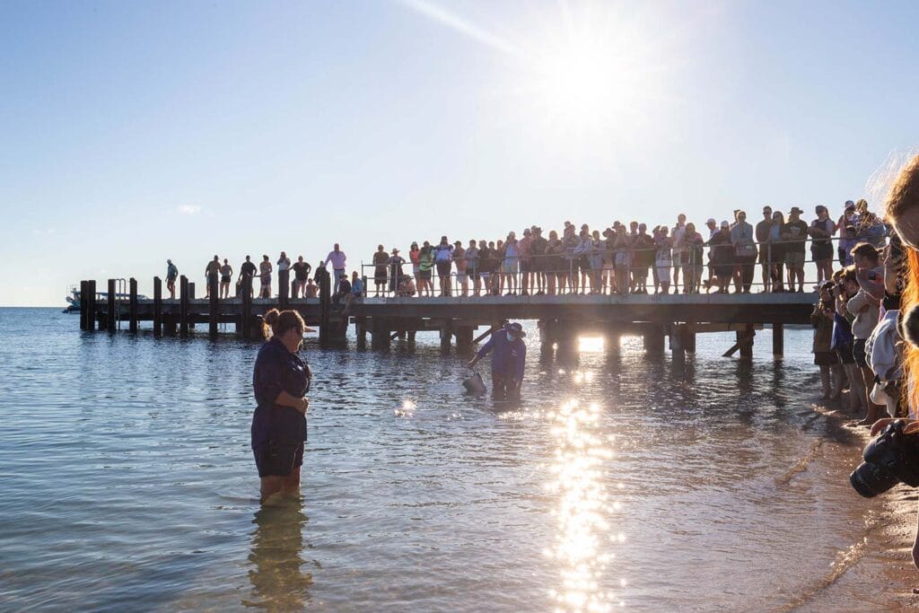 monkey-mia-shark-bay