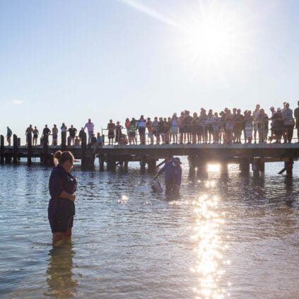 monkey-mia-shark-bay