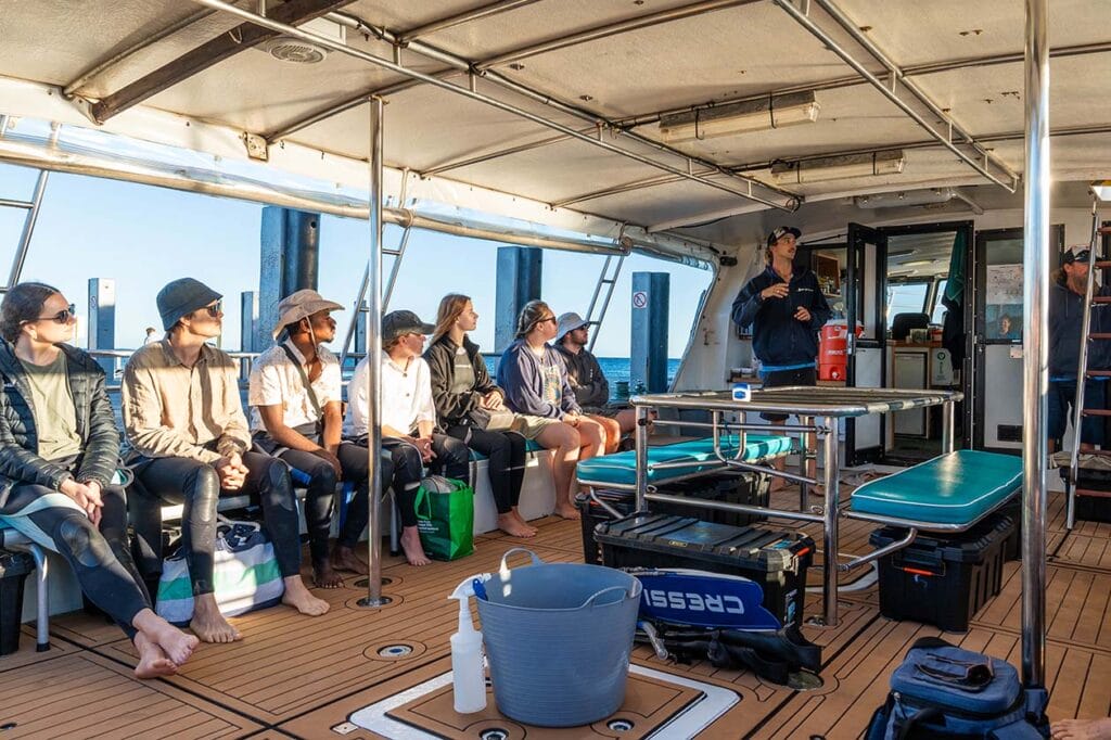 coral-bay-eco-tours-swim-with-whales