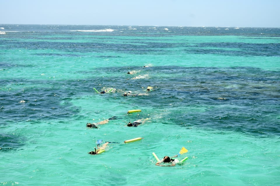 turtle-cruise-coral-bay