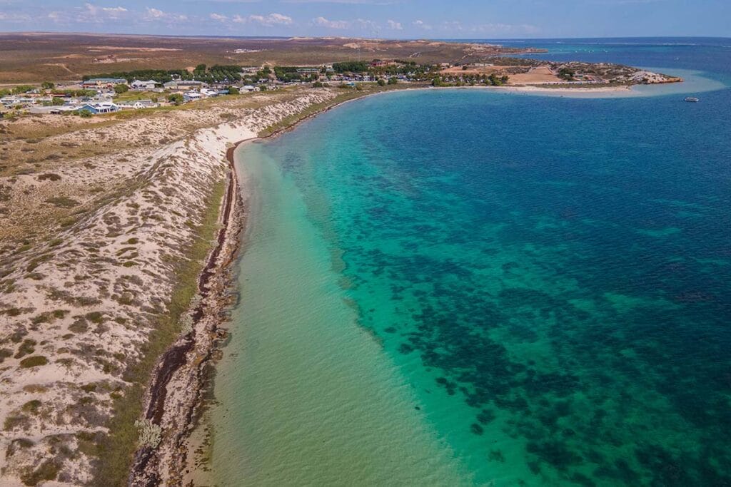 shark-sanctuary-coral-bay-1