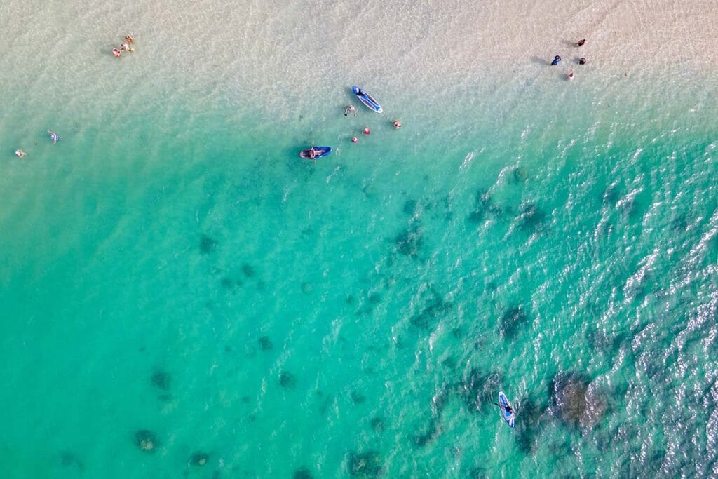 oyster-bridge-snorkel