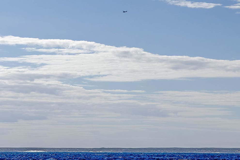 Swim-with-Whale-Sharks-In-Coral-Bay