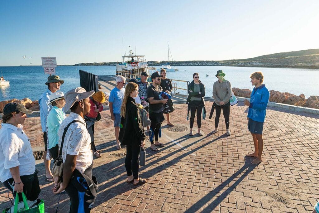 swim-with-whale-sharks-coral-bay-eco-tours