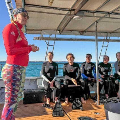 swim-with-whale-sharks-coral-bay-eco-tours-western-australia