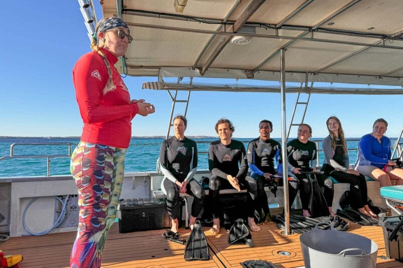 swim-with-whale-sharks-coral-bay-eco-tours-western-australia