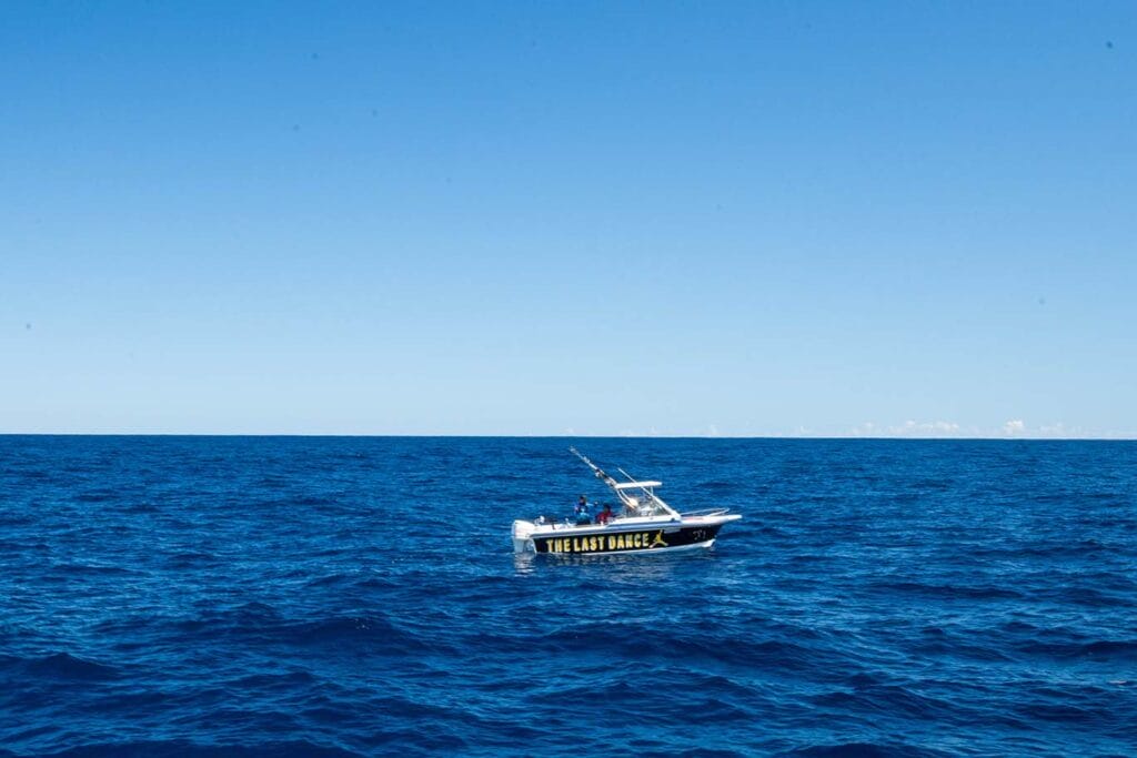rescue-mission-whale-shark-tour-coral-bay