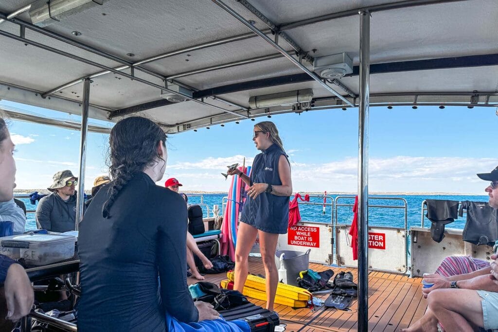 whale-sharks-coral-bay-eco-tour-swim