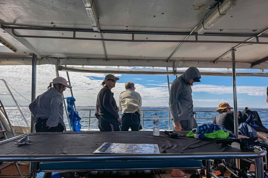 swim-with-whale-sharks-coral-bay-2
