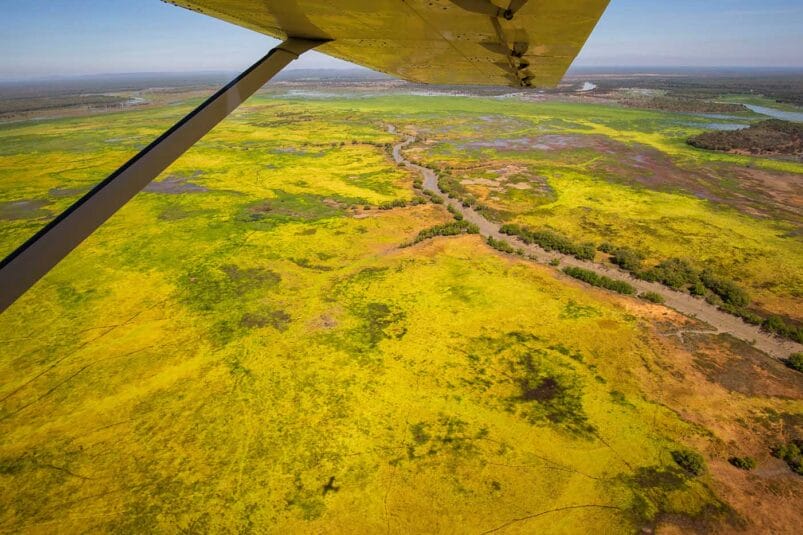 kakadu-scenic-flight