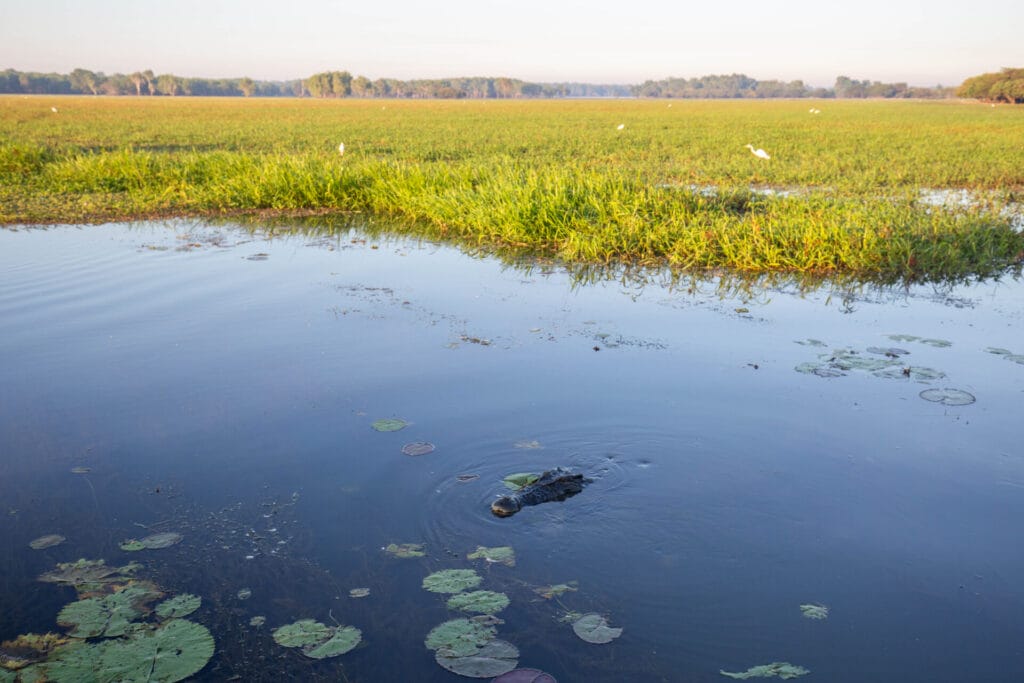 best-darwin-tours-to-kakadu - Londoner In Sydney best-darwin-tours-to-kakadu