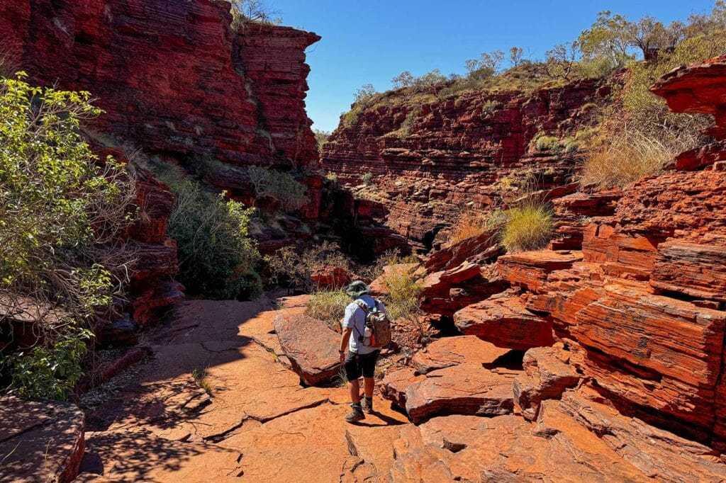joffre-gorge-walk-karijini-national-park
