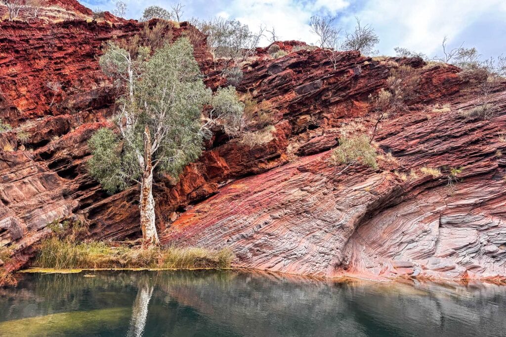 Hamersley-gorge-walk-karijini-national-park-7 - Londoner In Sydney Hamersley-gorge-walk-karijini-national-park-7