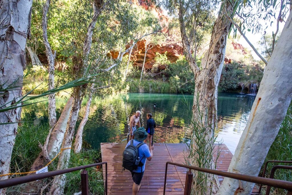 dales-gorge-fern-pool-karijini-national-park - Londoner In Sydney dales-gorge-fern-pool-karijini-national-park