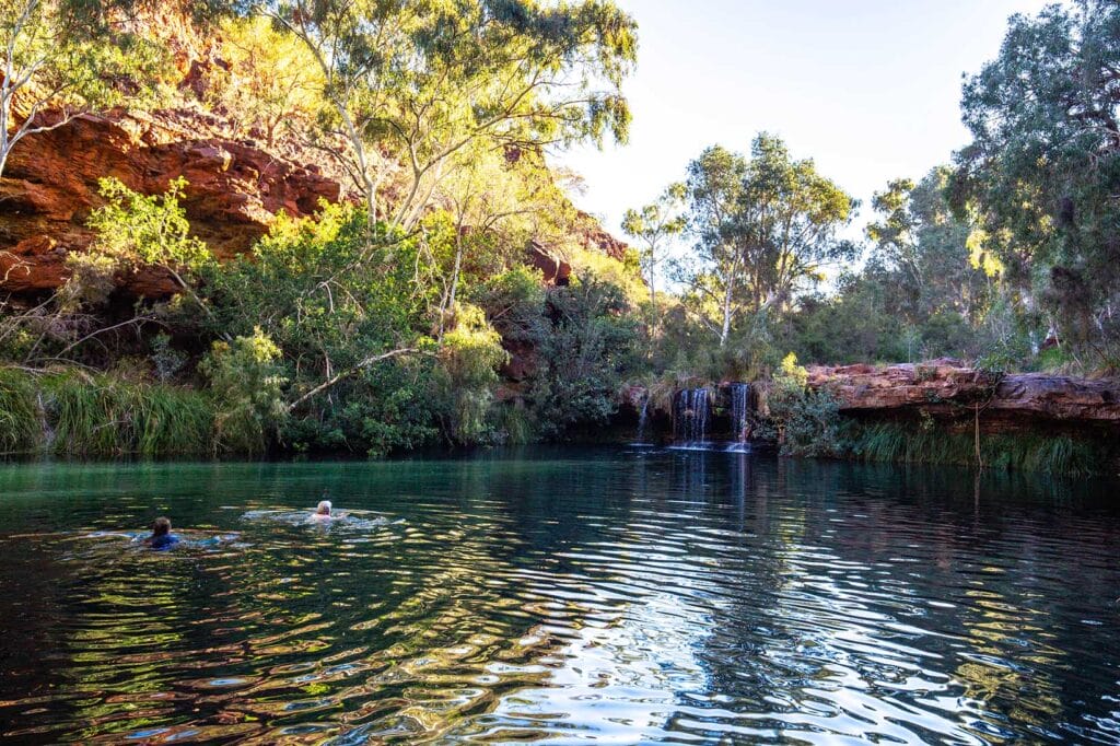 fern-pool-dales-gorge-karijini-national-park-wa - Londoner In Sydney fern-pool-dales-gorge-karijini-national-park-wa