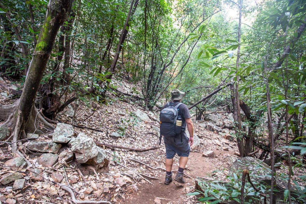 emma-gorge-walk-western-australia