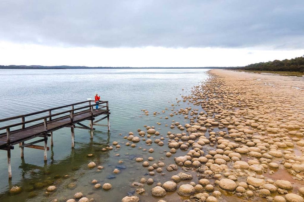 lake-clifton-thrombolites - Londoner In Sydney