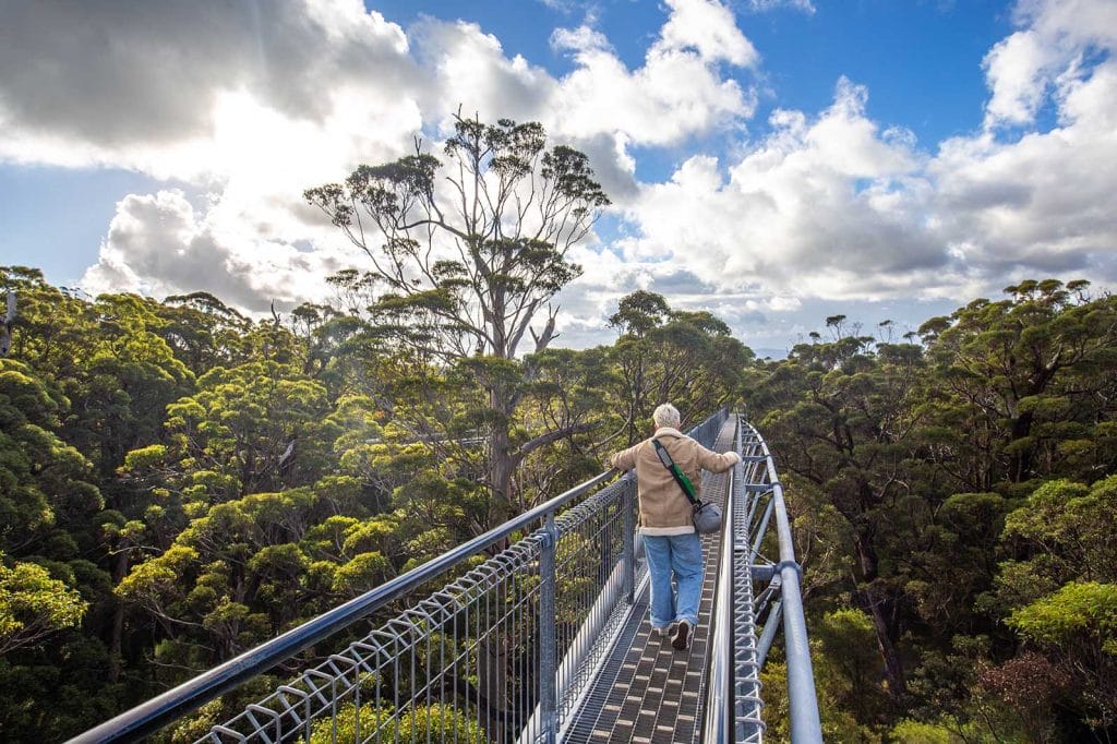 valley-of-the-giants-walpole-perth-to-esperance-road-trip