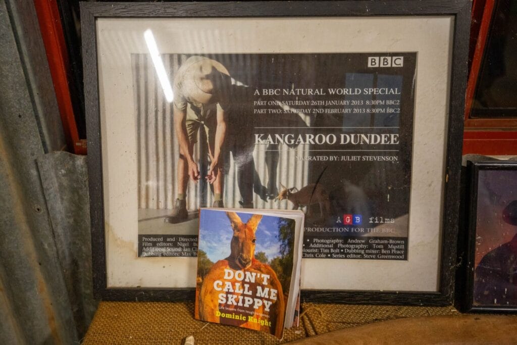 kangaroo-sanctuary-alice-springs-kangaroo-dundee