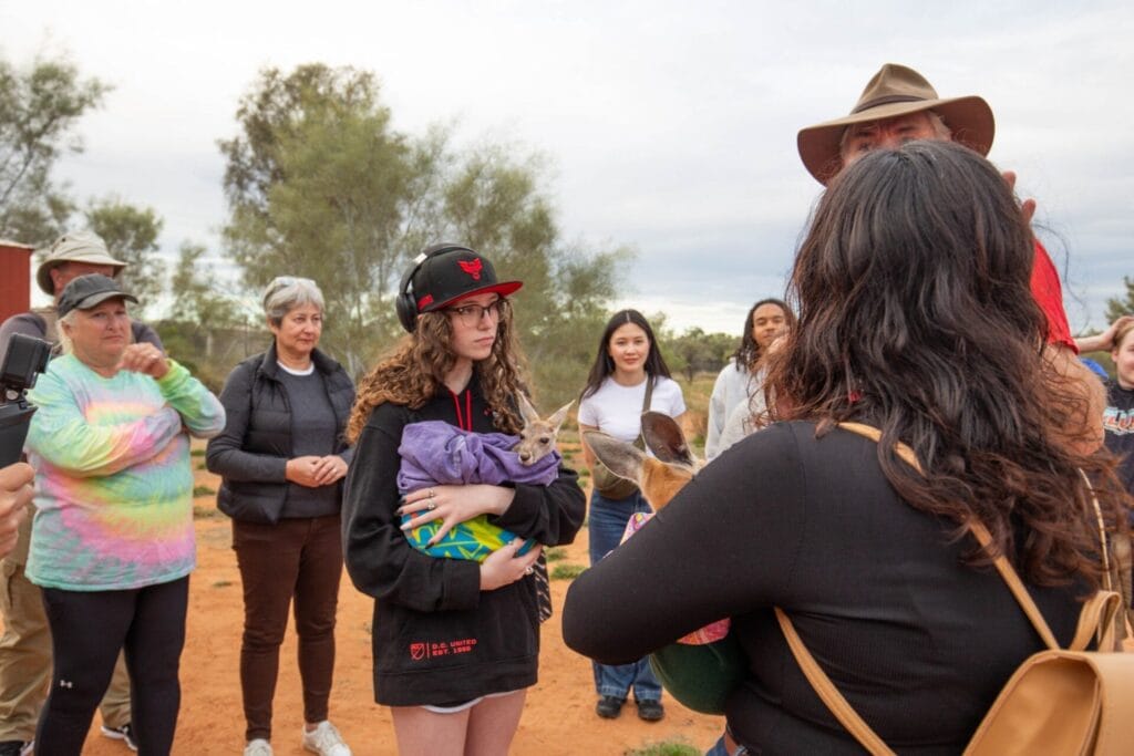 kangaroo-uluru