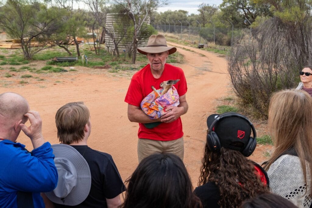 kangaroo-alice-springs3