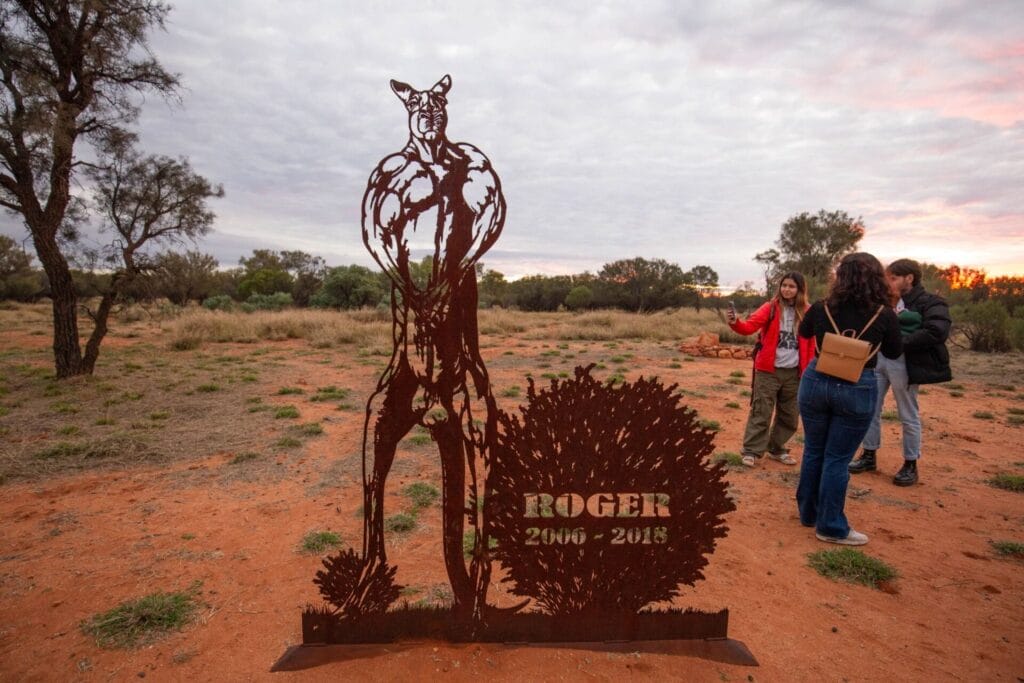 kangaroo-sanctuary-alice-springs-roger