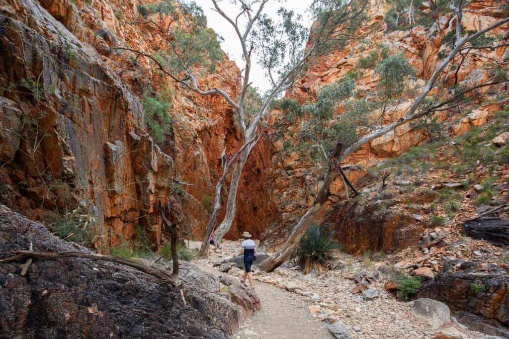 simpsons-gap-west-macdonnell-ranges-2 - Londoner In Sydney Two hikers walk a rocky trail through a canyon with orange cliffs and sparse trees at the base of a red rock wall.