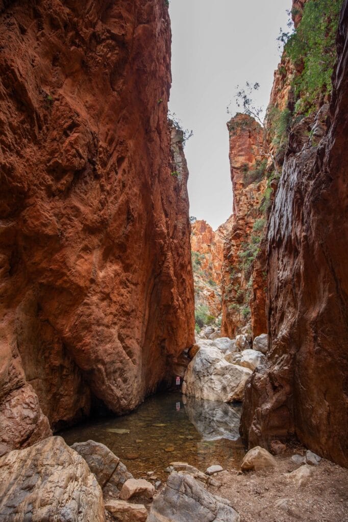 simpsons-gap-west-macdonnell-ranges-3 - Londoner In Sydney simpsons-gap-west-macdonnell-ranges-3