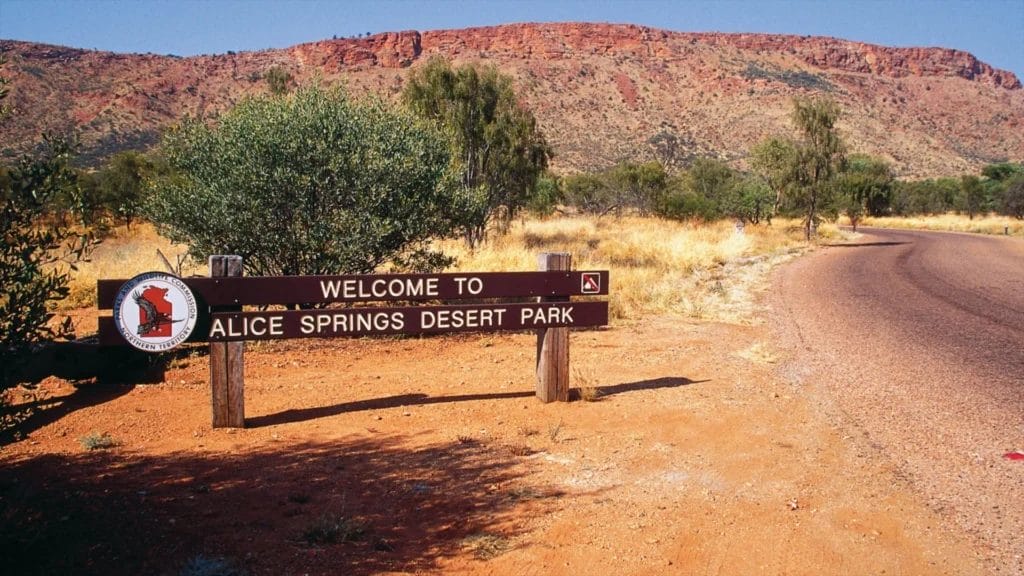 best-things-to-do-in-alice-springs-desert-park - Londoner In Sydney best-things-to-do-in-alice-springs-desert-park