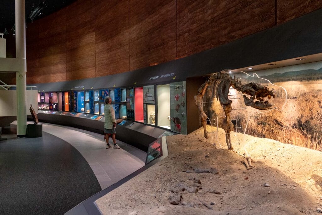 Alice-Springs-museum-of-central-australia - Londoner In Sydney Alice-Springs-museum-of-central-australia
