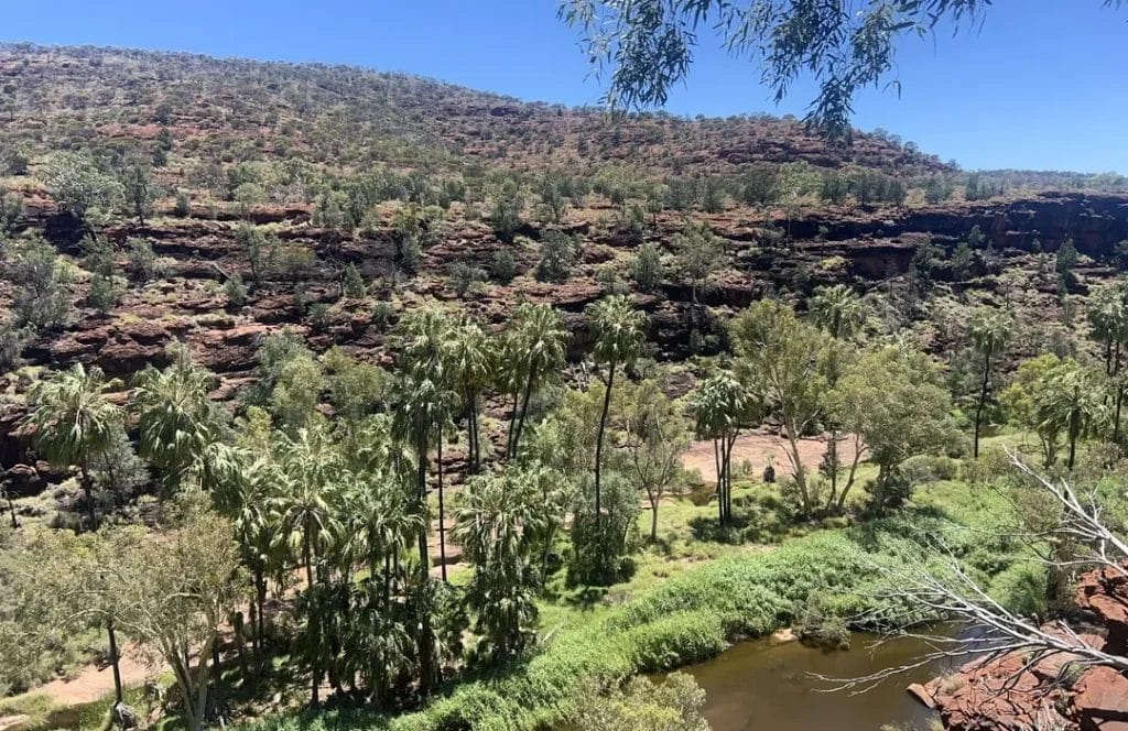finke-national-park-palm-valley-alice-springs - Londoner In Sydney finke-national-park-palm-valley-alice-springs